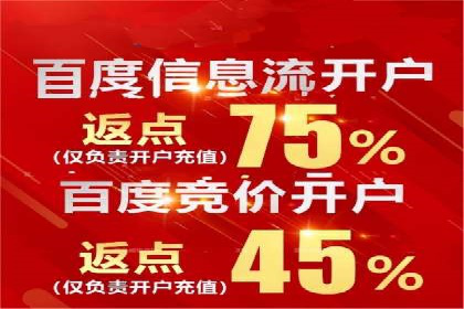Sem优化公司实例：电商流量提升策略